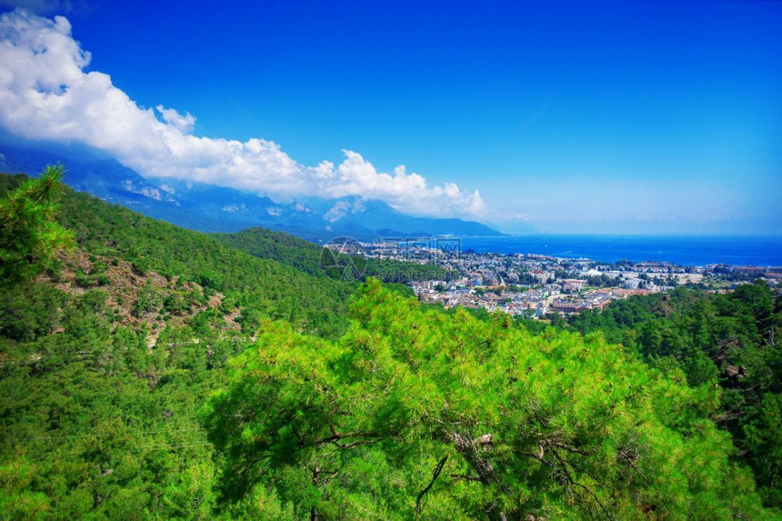 树美丽场景从山到基米尔镇以及土耳其的海景图片