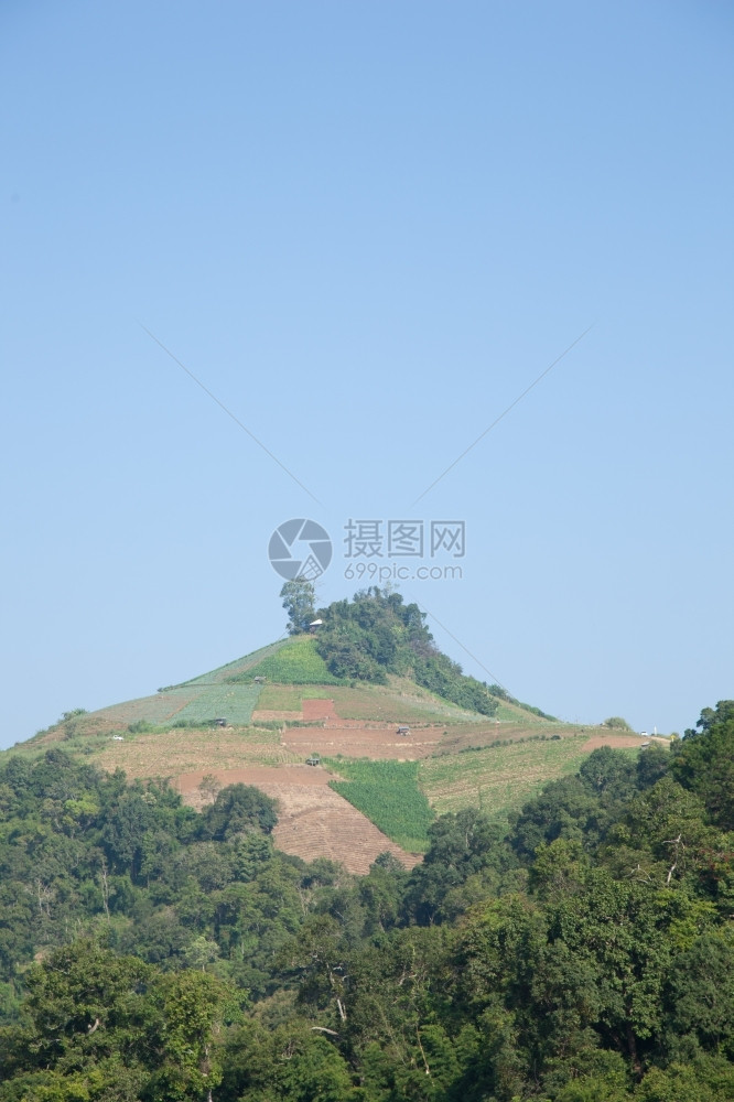 天空高山上的森林被破坏是砍伐树木来种田地的制作图片