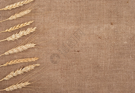 粗布背景的小麦耳朵边框茎乡村的谷物图片