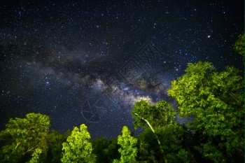 泰国星系夜间天空的一部分在赤道纬度上有恒星和银河下面有绿色热带树闪电图片