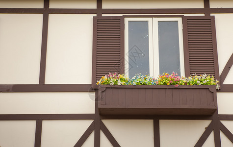 美丽的单身新棕墙上旧窗户和花朵图片