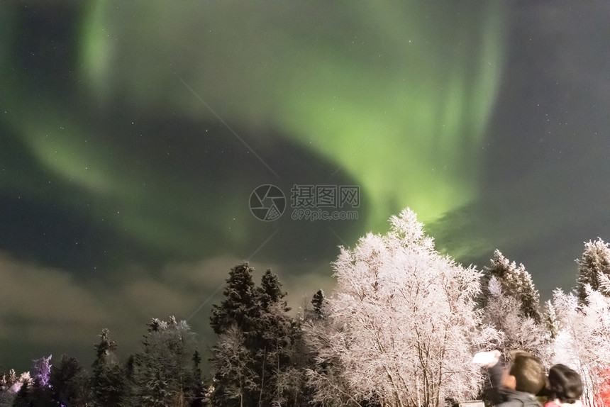 森林北极光树上的星寒冷的图片