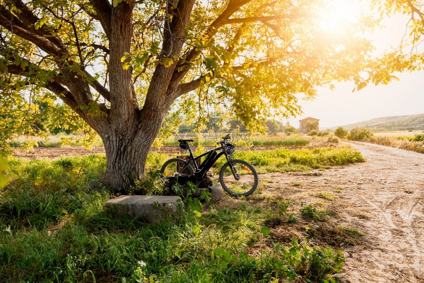旅行日落在田地树下用太阳照明弹骑自行车场地图片