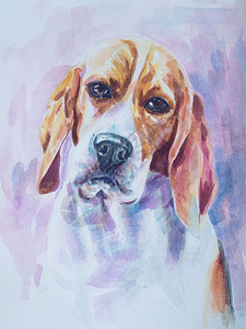 手美丽的棕色白纸上可爱珠蜜狗肖像水彩画图片