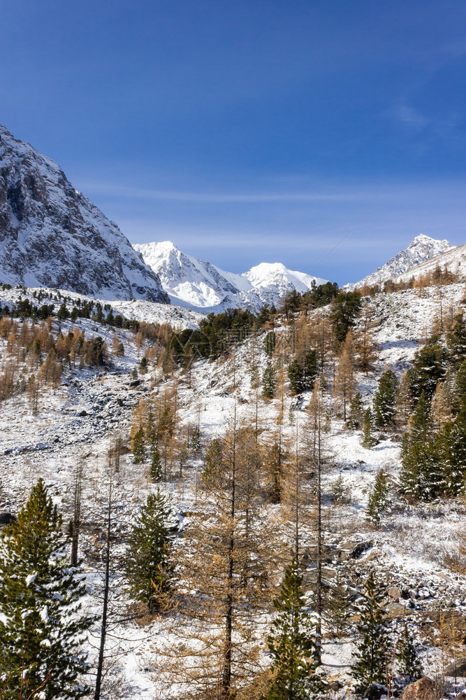 冬季雪山雪景图片