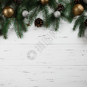 植物海报圣诞组成绿色的fir树枝华丽的图片