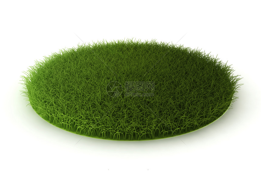 新鲜的自然草原3d白制成目的图片