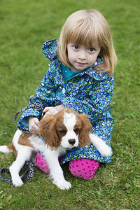 查尔斯帕尼埃狗宠物王的少女肖像猎犬西班牙狗相机图片