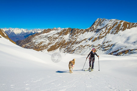 冬季滑雪的运动者与狗图片