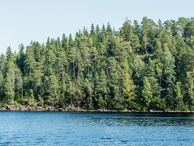 岛上海岸因木柴而过度生长水明亮的自然图片