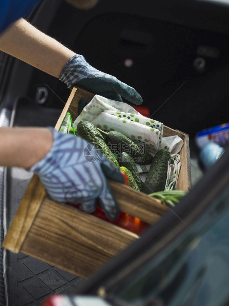 坚果报告盒子奥林巴斯数码相机园丁手保持蔬菜箱汽车后备图片