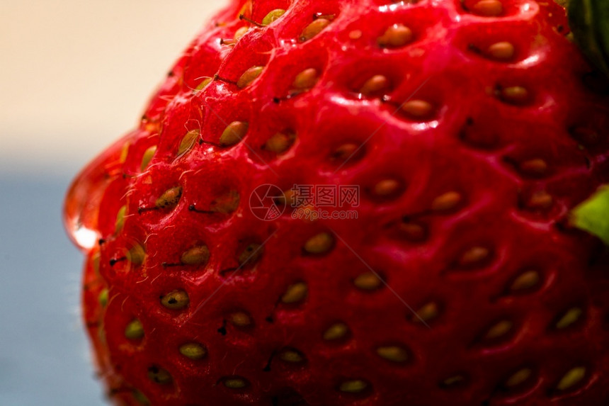 果味夏天鲜熟的红草莓上滴水在新鲜成熟的红草莓上滴水多汁的图片