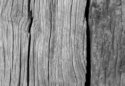 桌子松树用作背景材料的旧木板框架图片