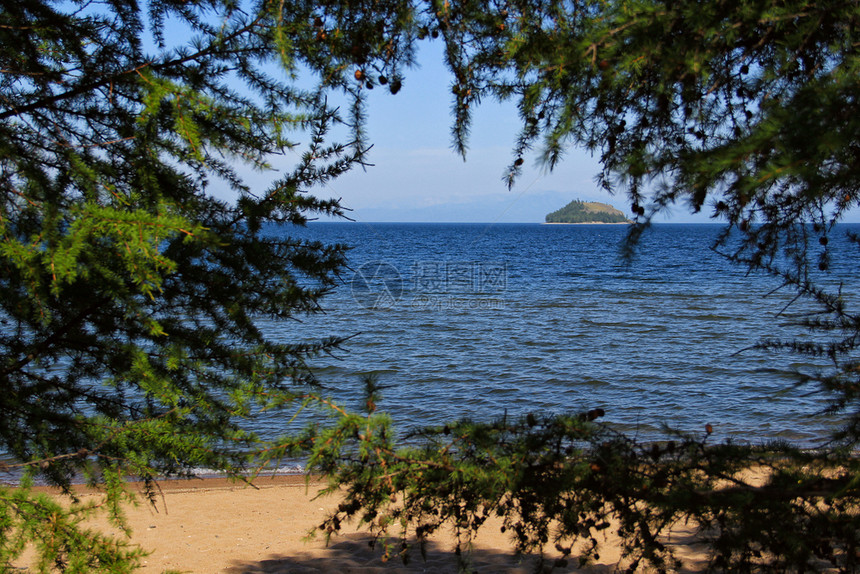 夏天田园诗般的太阳风景与图象在Baikal湖湾的一个小岛穿过树木图片