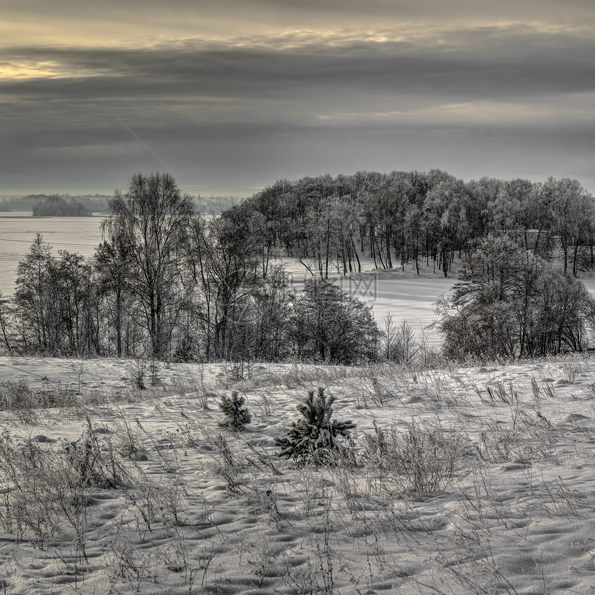 针叶树一种季节A立陶宛的湖和森林地带雪覆盖了湖泊和林地边位于立陶宛图片