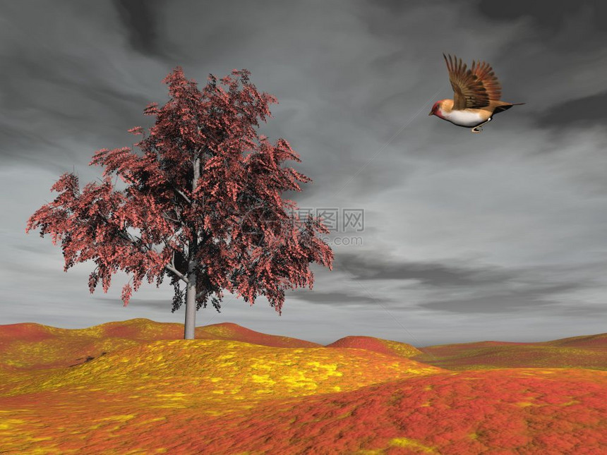 风景优美丽的棕褐小鸟乘灰云天飞到秋树上鸟3D形象的翅膀图片