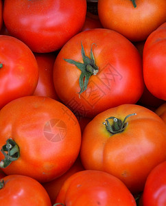 红色的在集市出售新收成的西红柿美味季节图片