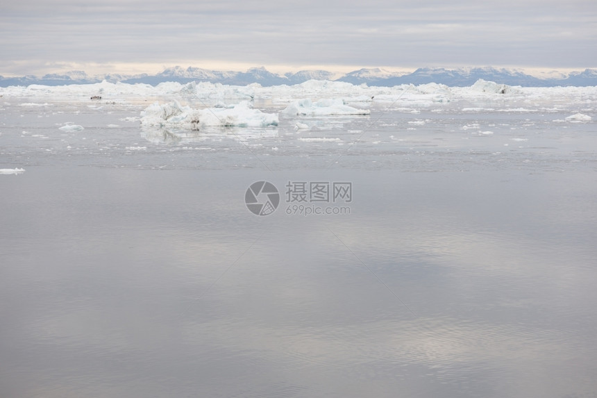 景观伊卢利萨特雪Ilulissat周围格陵兰北极地貌的以及冰山和图片