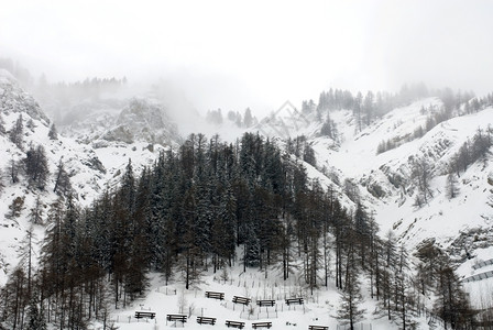 高山景满是雪崩屏障意大利树岩石冬天图片