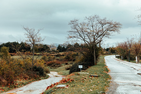 在雾山附近的森林中走过道路户外草自然图片