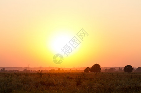 场地云一种田野中多彩的日落背景图片