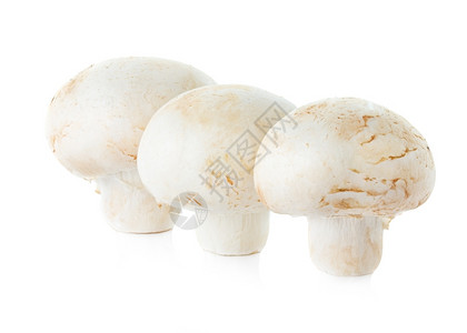 与世隔绝的玉米蘑菇营养目的可口图片