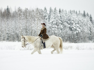 迷人的女骑着白马冬天风景骑术吸引人的观图片