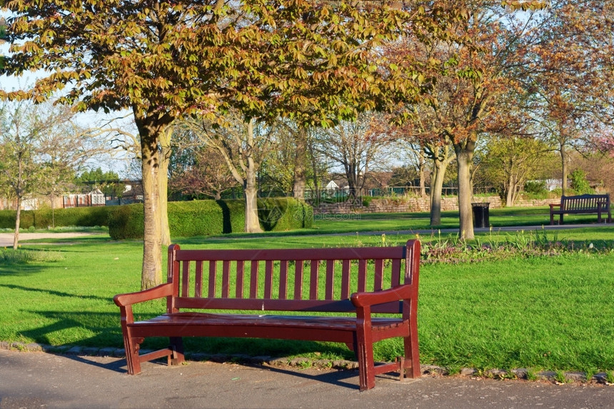 椅子座位公园的木制板凳树篱图片