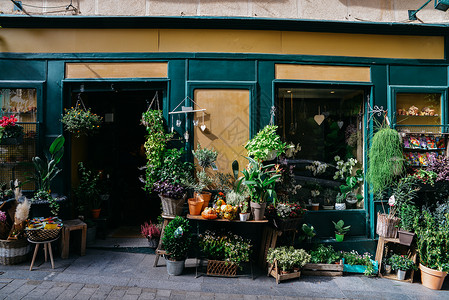 偏平化风格水平的著名天花店外立面展示各种不同类型的植物花店外立面展示各种不同类型的植物背景