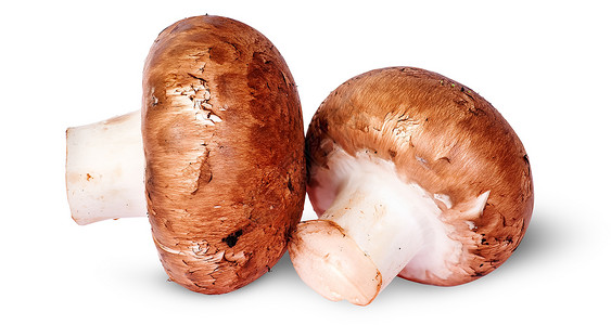 小吃菌类两只新鲜棕色蘑菇与白的底边旋转香菇图片