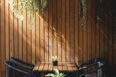 餐厅照片馆和咖啡厅的木墙当代内地设计自然日光植物高清图片