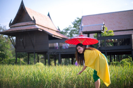 泰国妇女以伞式传统风格装饰泰国妇女黄色的优质吸引人图片