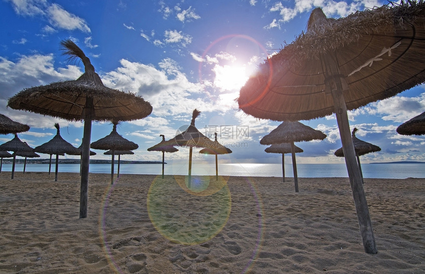 阳光明媚的沙滩上的遮阳伞图片