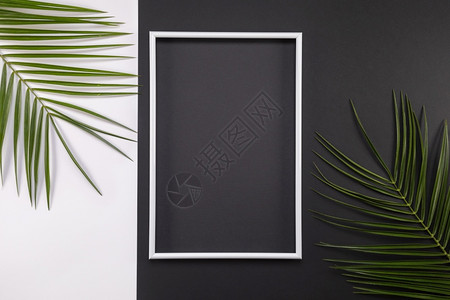 黑色植物框架黑色和白背景上的热带棕榈叶框架平面顶视图复制空间夏季背景自然热带树叶的创造背景及热带树叶平坦的分支趋势背景