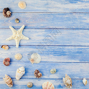 为了颜色首观海贝壳和星在面贴蓝色木板底部的壁壳上并附有具生锈风格的复制空间文本框架模板等字版面粉彩图片