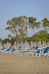 度假胜地海边的沙滩椅图片