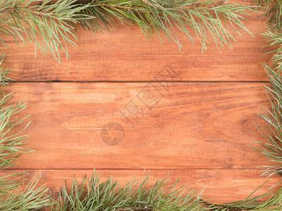 木制的形式背景框状的Spruce树枝绿色图片