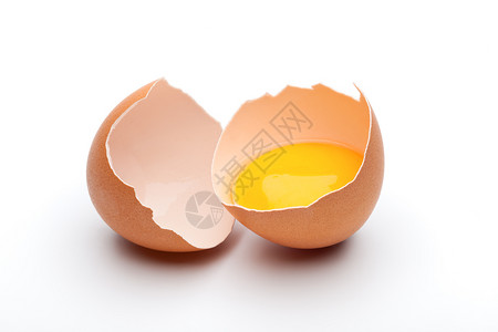 蛋壳里的蛋黄图片
