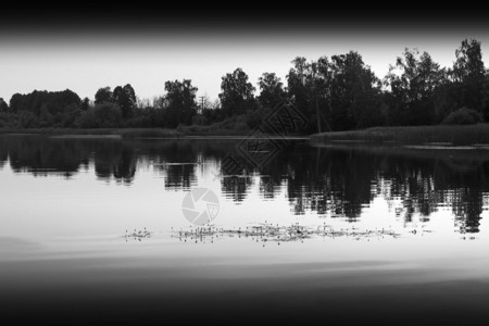 带反射的水平黑白河流景观带反射hd的水平黑白河流景观坡度黑色的场景图片