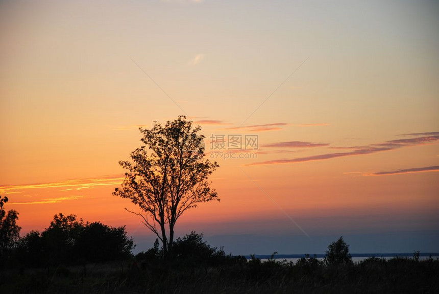 田园诗般的天空一棵树风景与多彩日落库尔曼图片