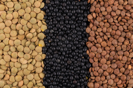 棕色的各种颜豆类混合物背景扁豆绿图片