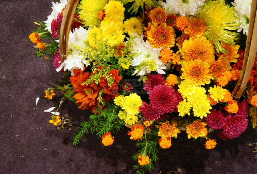 春时配花和谐的篮在越南Tet节日在家里装饰充满活力的色彩和棕背景的植物感人的太阴篮子图片