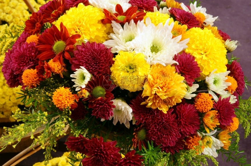 春时配花和谐的篮在越南Tet节日在家里装饰充满活力的色彩和棕背景的植物惊人的装饰风格室内图片