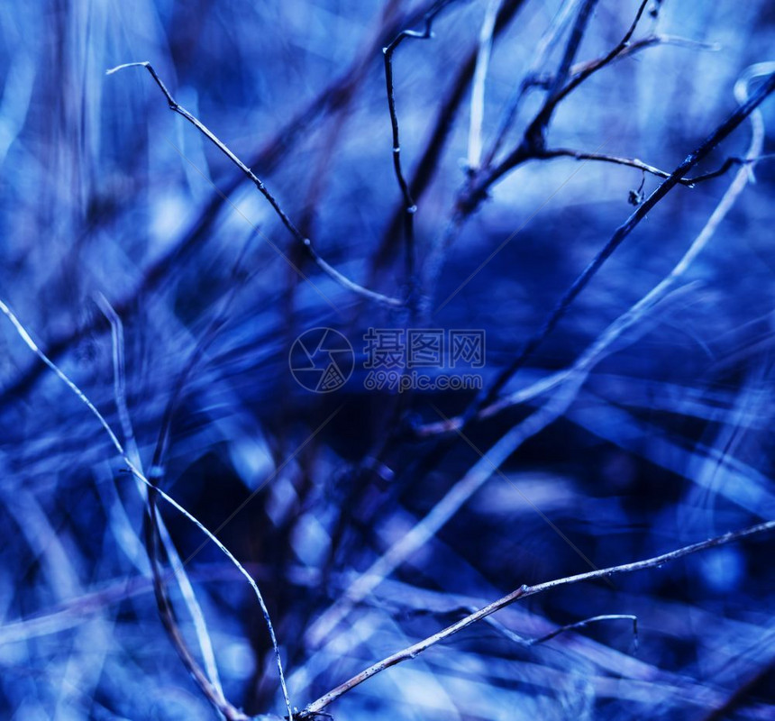蓝色平面生动的分支抽象背景冰数字的目图片