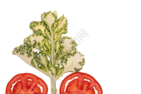 闪亮的切片红熟番茄和卷菜树隔离顶端观水果和蔬菜概念素食主义者营养图片