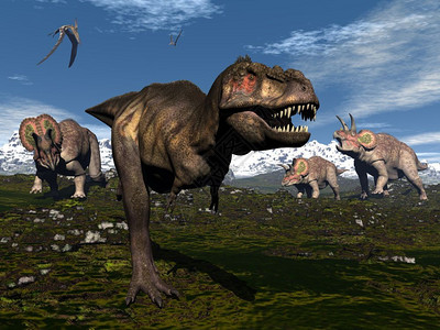 山上三只恐龙了暴雷克斯3D化身肉食动物历史飞行设计图片