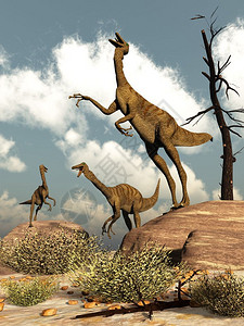 鸡鸡经过风景优美Gallimimus恐龙白天在沙漠中成群3D渲染Gallimimus恐龙渲染景观设计图片
