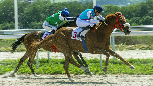 马杜赖PYATIGORSK俄罗斯8月920赫索尔的Pyatigorsk河马斯特赛骑手Artem越过棕色马匹的终点线竞争纯种皮亚季戈尔斯背景