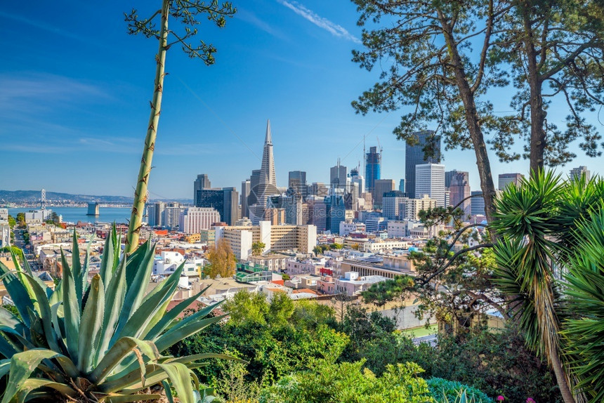 中央天线美州旧金山市中心商业的美丽景色国旧金山市中心城图片