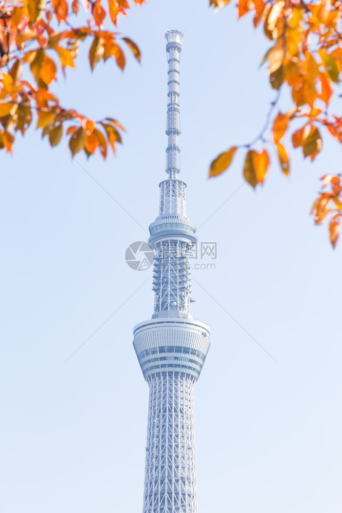 城市的游客东京天空树在公园摩大楼东京空树的下在白天日本东京2016年月4日市中心图片